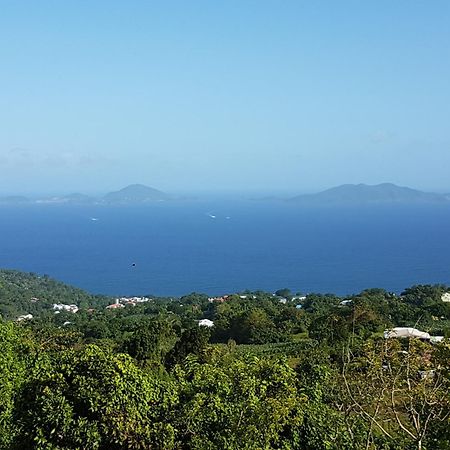 فيلا L'Ilot Fruits Guadeloupe Trois-Rivières المظهر الخارجي الصورة