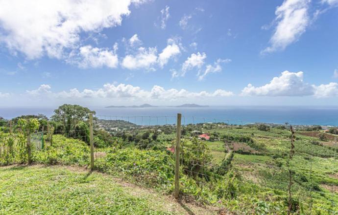 فيلا L'Ilot Fruits Guadeloupe Trois-Rivières المظهر الخارجي الصورة