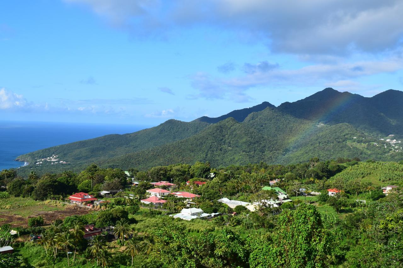 فيلا L'Ilot Fruits Guadeloupe Trois-Rivières المظهر الخارجي الصورة